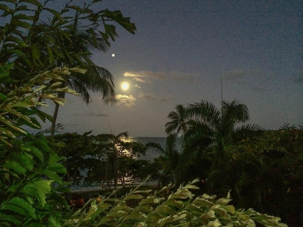 Roydon Beachfront Apartments Trinity Beach Esterno foto